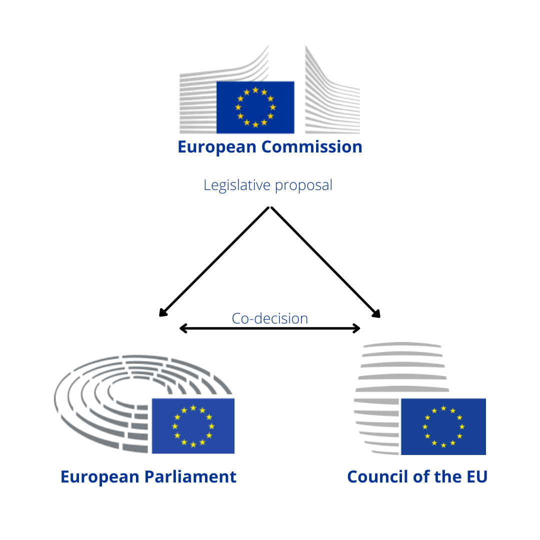 Legislative process